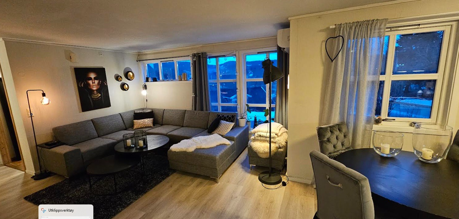 Stue 2025 (Leieboers møbler)